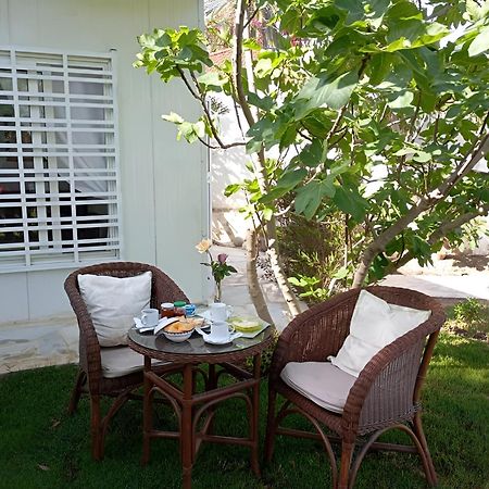 Au Bout Du Jardin Villa Kartaca Dış mekan fotoğraf