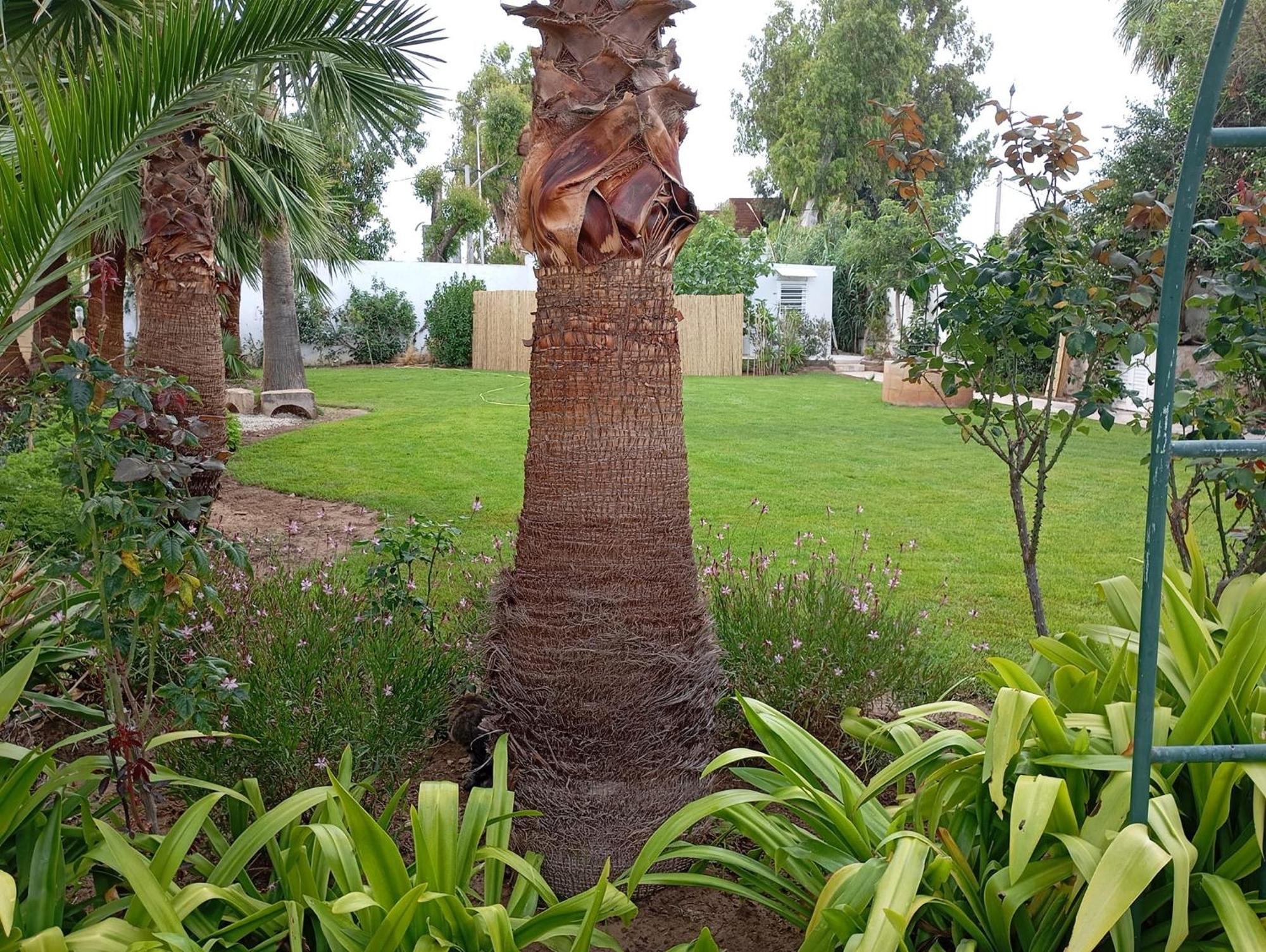 Au Bout Du Jardin Villa Kartaca Dış mekan fotoğraf